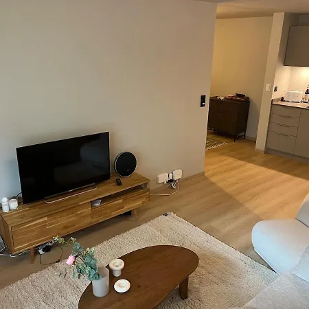 Apartment In The Middle Of Center